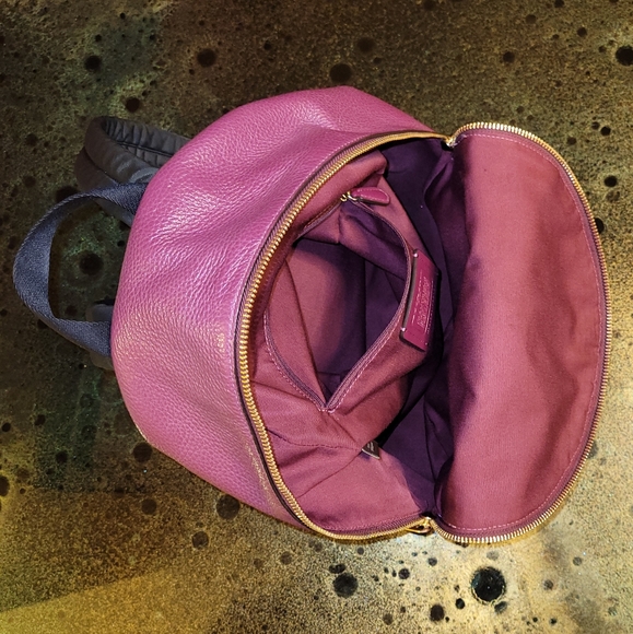 Coach Jes Berry Multi Pebbled Leather Small Backpack Varsity Stripe F89167 - Picture 8 of 16